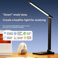 Aluminum Alloy Plug-in And USB Rechargeable Ultra-Long Battery Life Desk Lamp