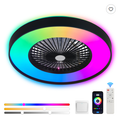 23 Inch Black Ceiling Fan Light With LED RGB Dimmable & Color Changing, APP & Remote Control, Modern Smart Ceiling...