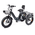 [EU Direct] PULUMA SL001 Electric Tricycle 48V 13.5*2 Dual Batteries 500W*2 Dual Motor Recommended Top Speed 25KM/H 20Inch Tires 80KM Max Mileage 150KG Max Load Electric Bike