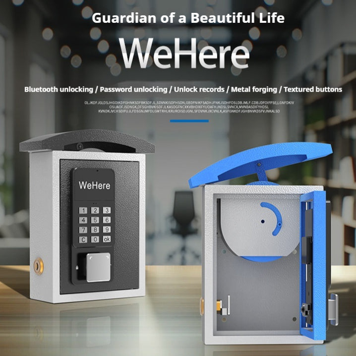 Smart Key Delivery Box Wall