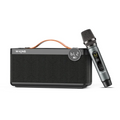 Handheld Portable Mini Card-Insert Karaoke Speaker