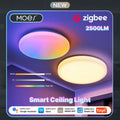 MOES Tuya Zigbee Smart LED Deckenleuchte Ambiente Farbtemperatur RGB Dimmung App Sprachsteuerung Alexa Google