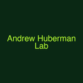 Andrew Huberman Lab