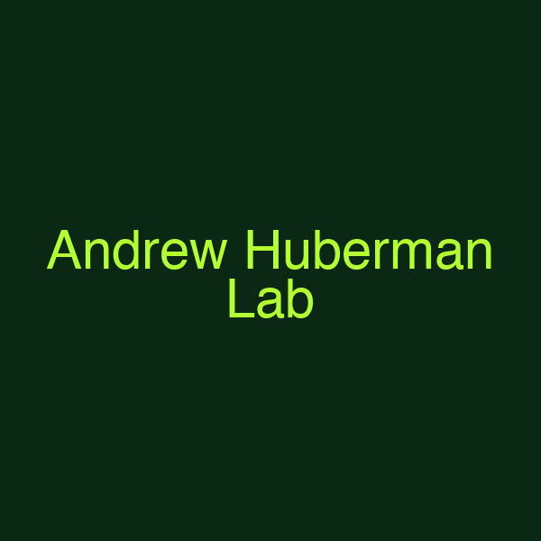 Andrew Huberman Lab