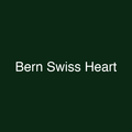 Bern Swiss Heart