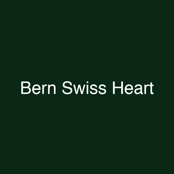Bern Swiss Heart
