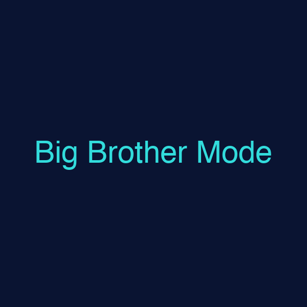 Big Brother Mode