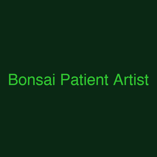 Bonsai Patient Artist