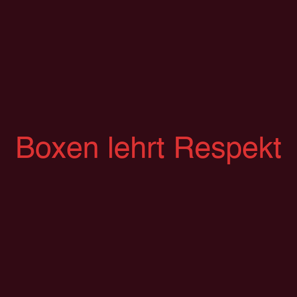 Boxen lehrt Respekt