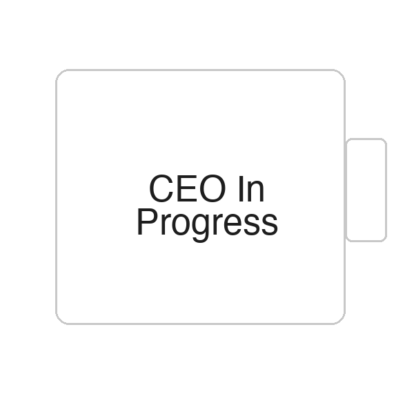 CEO In Progress | Tasse