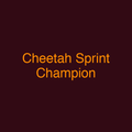 Cheetah Sprint Champion