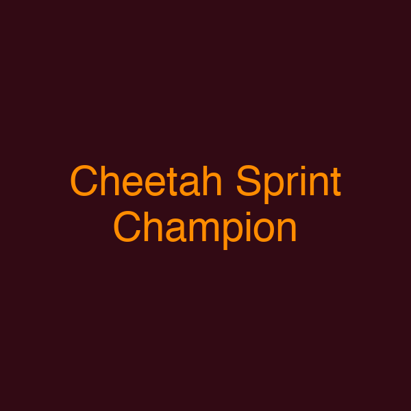 Cheetah Sprint Champion