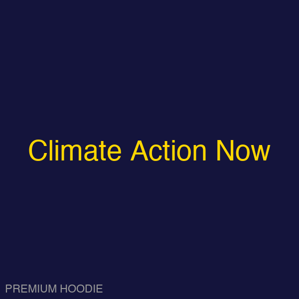 Climate Action Now | Hoodie
