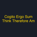 Cogito Ergo Sum Think Therefore Am