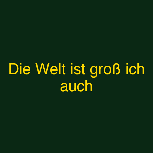 Die Welt ist groß ich auch