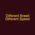 Different Breed Different Speed