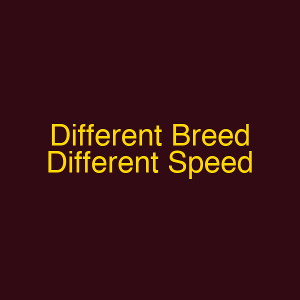 Different Breed Different Speed