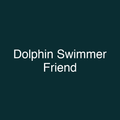 Dolphin Swimmer Friend