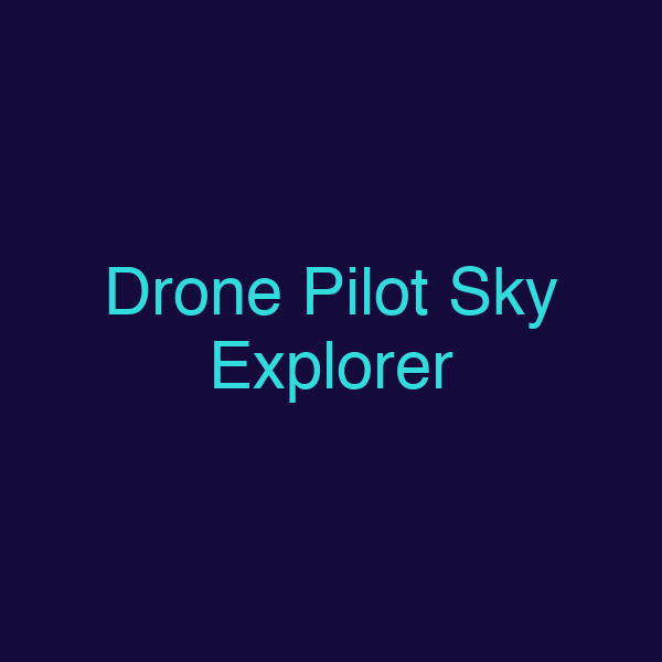 Drone Pilot Sky Explorer