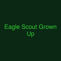 Eagle Scout Grown Up