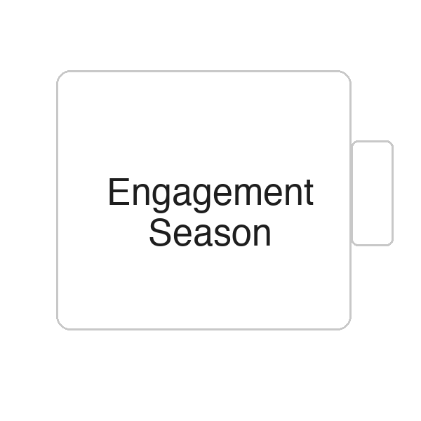 Engagement Season | Tasse