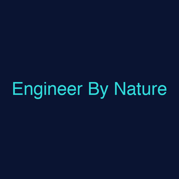 Engineer By Nature