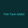 Fish Tank Addict