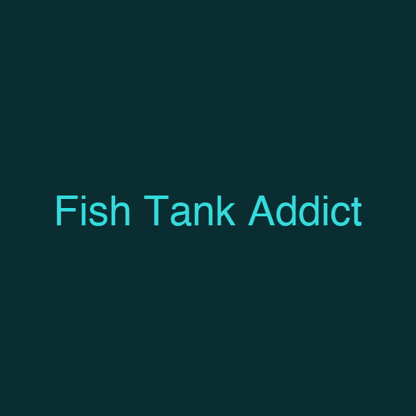 Fish Tank Addict
