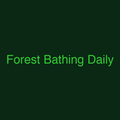 Forest Bathing Daily