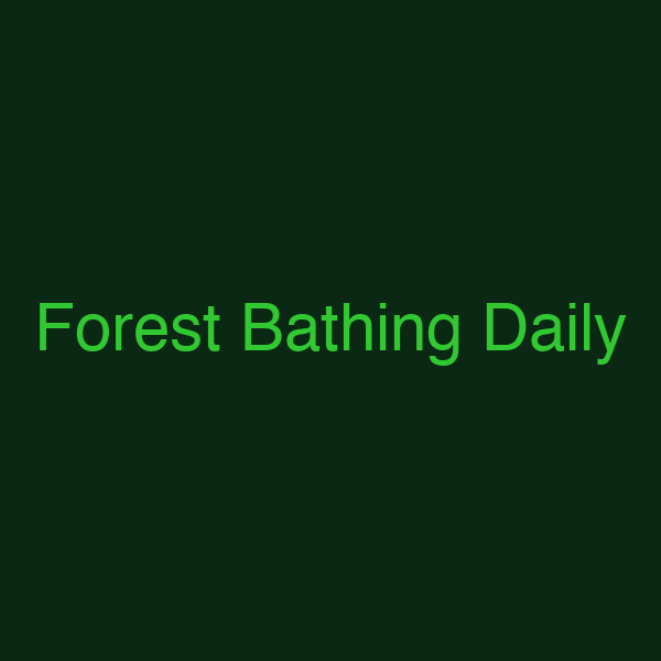 Forest Bathing Daily