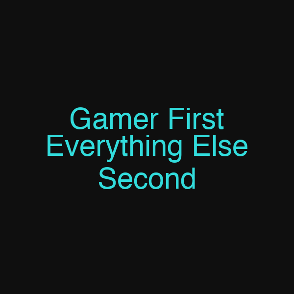 Gamer First Everything Else Second