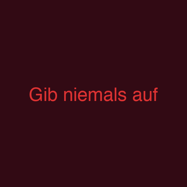 Gib niemals auf