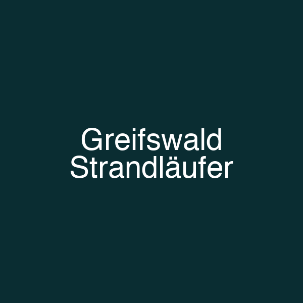Greifswald Strandläufer