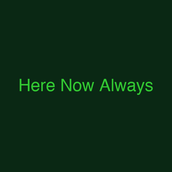 Here Now Always