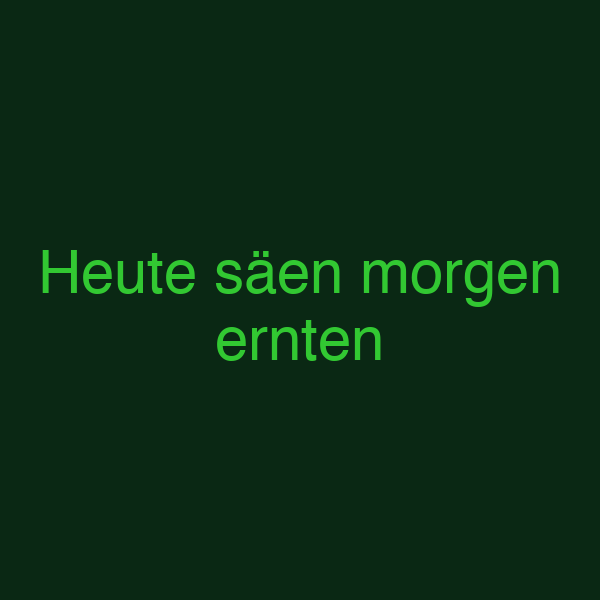 Heute säen morgen ernten