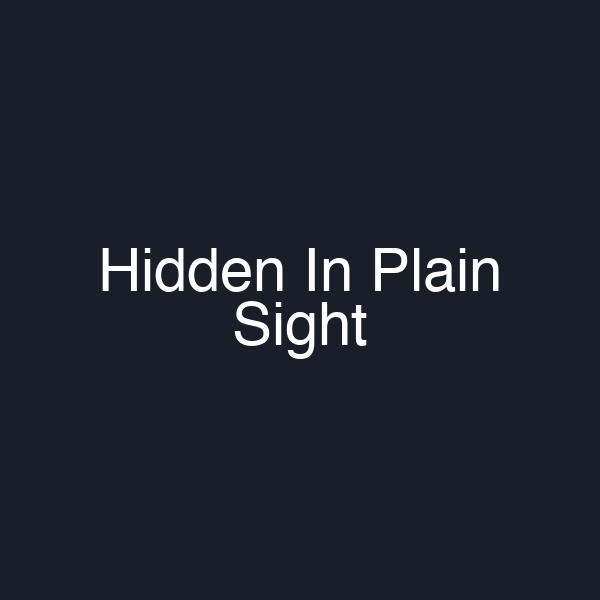 Hidden In Plain Sight