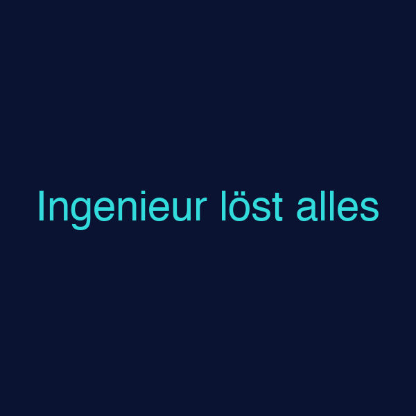 Ingenieur löst alles