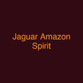 Jaguar Amazon Spirit