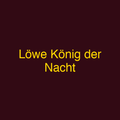 Löwe König der Nacht