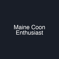 Maine Coon Enthusiast