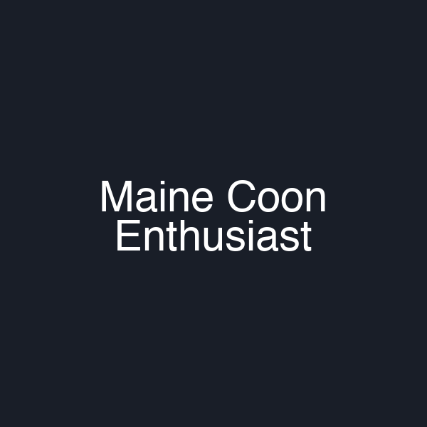 Maine Coon Enthusiast
