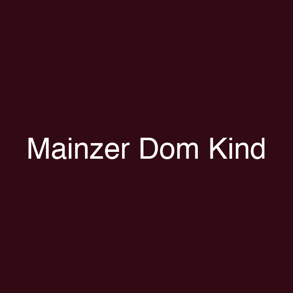 Mainzer Dom Kind