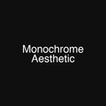 Monochrome Aesthetic