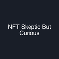 NFT Skeptic But Curious