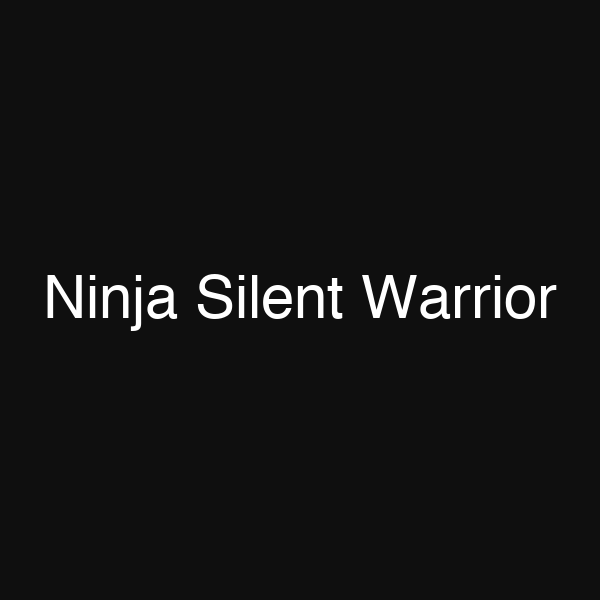 Ninja Silent Warrior