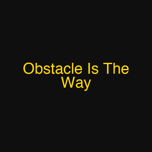 Obstacle Is The Way