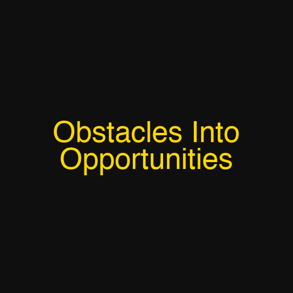 Obstacles Into Opportunities