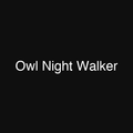Owl Night Walker