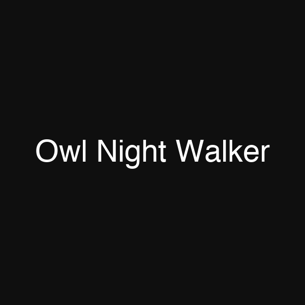 Owl Night Walker