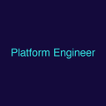 Platform Engineer